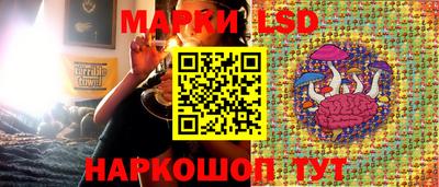 трава Моздок