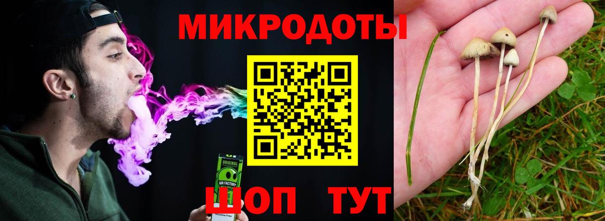 Псилоцибиновые грибы Magic Shrooms Солнечногорск